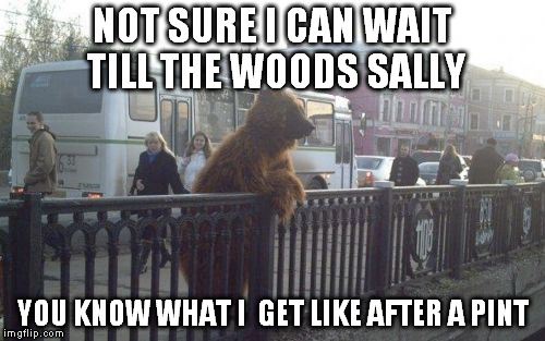 City Bear | NOT SURE I CAN WAIT TILL THE WOODS SALLY YOU KNOW WHAT I  GET LIKE AFTER A PINT | image tagged in memes,city bear | made w/ Imgflip meme maker