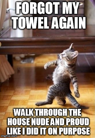 Cool Cat Stroll | FORGOT MY TOWEL AGAIN WALK THROUGH THE HOUSE NUDE AND PROUD LIKE I DID IT ON PURPOSE | image tagged in memes,cool cat stroll | made w/ Imgflip meme maker