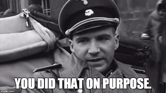 Grammar Nazi | YOU DID THAT ON PURPOSE. | image tagged in grammar nazi | made w/ Imgflip meme maker