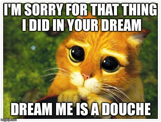 Sorry Kitty | I'M SORRY FOR THAT THING I DID IN YOUR DREAM DREAM ME IS A DOUCHE | image tagged in sorry kitty | made w/ Imgflip meme maker