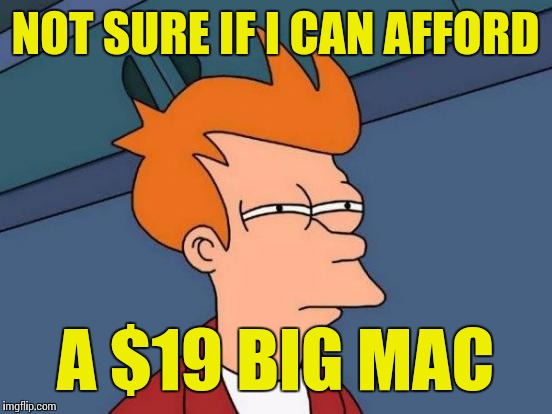 Futurama Fry Meme | NOT SURE IF I CAN AFFORD A $19 BIG MAC | image tagged in memes,futurama fry | made w/ Imgflip meme maker