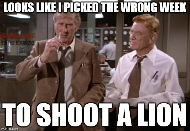 Airplane Wrong Week | LOOKS LIKE I PICKED THE WRONG WEEK TO SHOOT A LION | image tagged in airplane wrong week | made w/ Imgflip meme maker