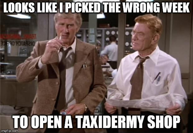 Timing is everything | LOOKS LIKE I PICKED THE WRONG WEEK TO OPEN A TAXIDERMY SHOP | image tagged in airplane wrong week | made w/ Imgflip meme maker