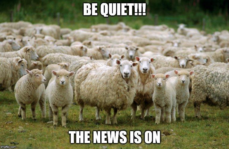 News is for Sheep | BE QUIET!!! THE NEWS IS ON | image tagged in sheep,news,media,racism | made w/ Imgflip meme maker