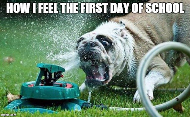 First Day of School | HOW I FEEL THE FIRST DAY OF SCHOOL | image tagged in sprinkler | made w/ Imgflip meme maker