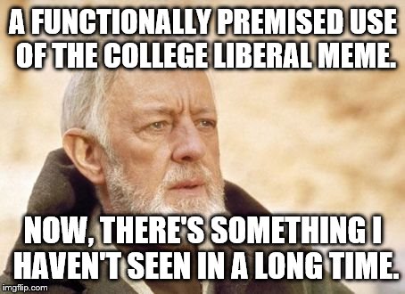 Obi-Wan Kenobi | A FUNCTIONALLY PREMISED USE OF THE COLLEGE LIBERAL MEME. NOW, THERE'S SOMETHING I HAVEN'T SEEN IN A LONG TIME. | image tagged in obi-wan kenobi | made w/ Imgflip meme maker