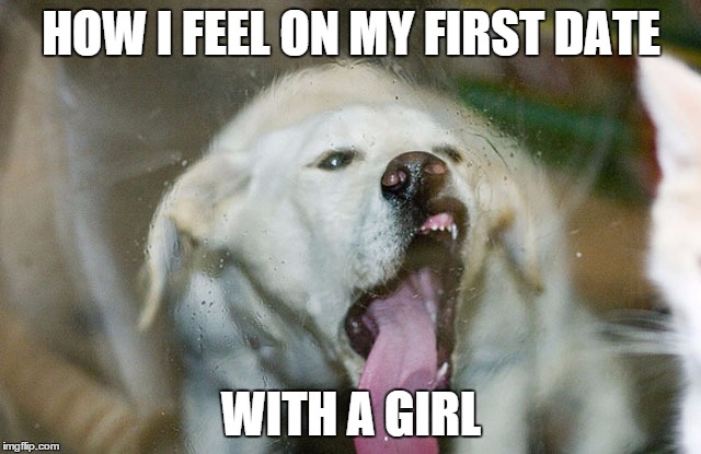 Dog Fun | HOW I FEEL ON MY FIRST DATE WITH A GIRL | image tagged in dog fun | made w/ Imgflip meme maker