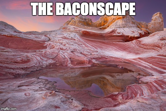 THE BACONSCAPE | image tagged in some scenery of some sort,bacon | made w/ Imgflip meme maker