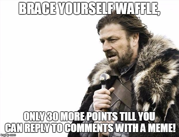Brace yourSELF | BRACE YOURSELF WAFFLE, ONLY 30 MORE POINTS TILL YOU CAN REPLY TO COMMENTS WITH A MEME! | image tagged in memes,brace yourselves x is coming | made w/ Imgflip meme maker