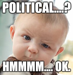 Skeptical Baby Meme | POLITICAL....? HMMMM.... OK. | image tagged in memes,skeptical baby | made w/ Imgflip meme maker