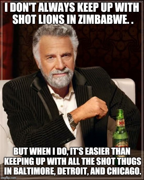 The Most Interesting Man In The World | I DON'T ALWAYS KEEP UP WITH SHOT LIONS IN ZIMBABWE. . BUT WHEN I DO, IT'S EASIER THAN KEEPING UP WITH ALL THE SHOT THUGS IN BALTIMORE, DETRO | image tagged in memes,the most interesting man in the world | made w/ Imgflip meme maker