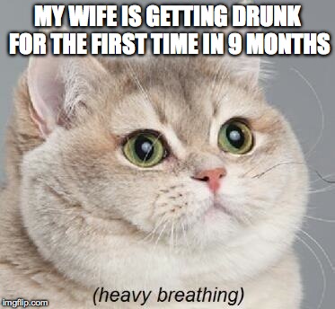 Heavy Breathing Cat | MY WIFE IS GETTING DRUNK FOR THE FIRST TIME IN 9 MONTHS | image tagged in memes,heavy breathing cat | made w/ Imgflip meme maker