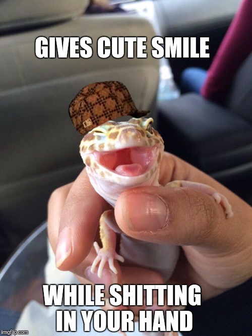 GIVES CUTE SMILE WHILE SHITTING IN YOUR HAND | made w/ Imgflip meme maker