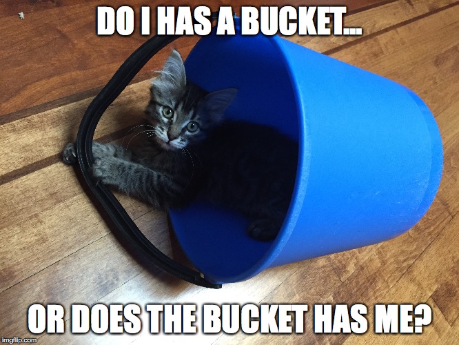 DO I HAS A BUCKET... OR DOES THE BUCKET HAS ME? | image tagged in bucket | made w/ Imgflip meme maker