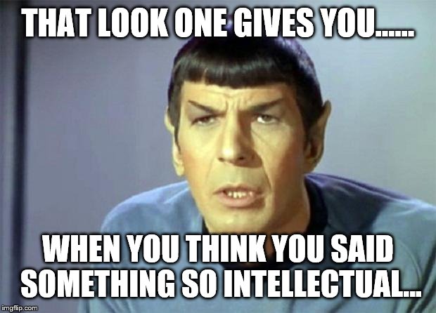 Disbelieving Spock | THAT LOOK ONE GIVES YOU...... WHEN YOU THINK YOU SAID SOMETHING SO INTELLECTUAL... | image tagged in disbelieving spock | made w/ Imgflip meme maker