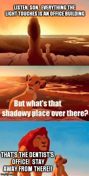 Simba Shadowy Place | LISTEN, SON.  EVERYTHING THE LIGHT TOUCHES IS AN OFFICE BUILDING THAT'S THE DENTIST'S OFFICE!  STAY AWAY FROM THERE!! | image tagged in memes,simba shadowy place | made w/ Imgflip meme maker