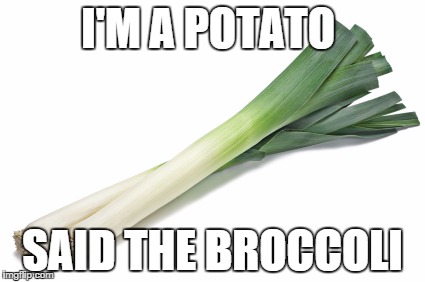 I'M A POTATO SAID THE BROCCOLI | image tagged in derp derp derpidy-derp | made w/ Imgflip meme maker