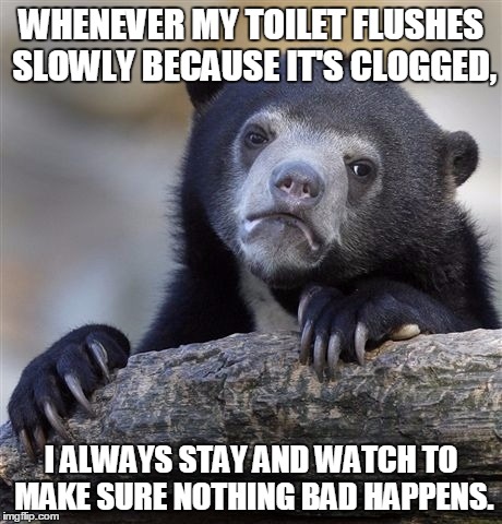 Confession Bear | WHENEVER MY TOILET FLUSHES SLOWLY BECAUSE IT'S CLOGGED, I ALWAYS STAY AND WATCH TO MAKE SURE NOTHING BAD HAPPENS. | image tagged in memes,confession bear | made w/ Imgflip meme maker