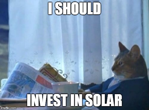 I Should Buy A Boat Cat | I SHOULD INVEST IN SOLAR | image tagged in memes,i should buy a boat cat | made w/ Imgflip meme maker