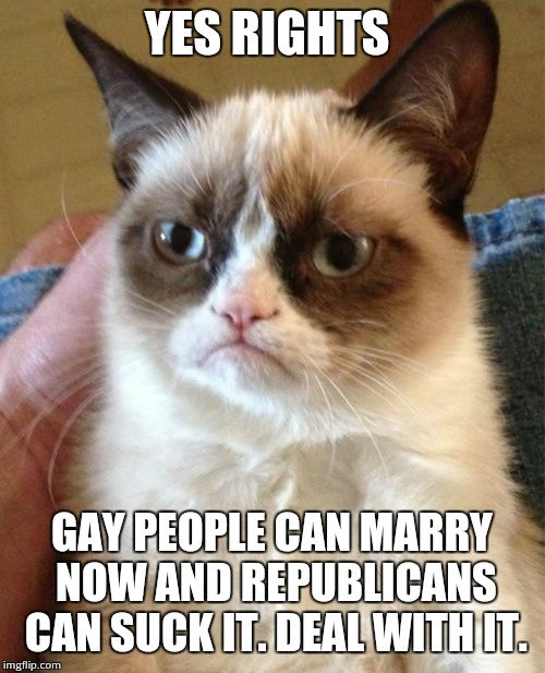 Grumpy Cat Meme | YES RIGHTS GAY PEOPLE CAN MARRY NOW AND REPUBLICANS CAN SUCK IT. DEAL WITH IT. | image tagged in memes,grumpy cat | made w/ Imgflip meme maker