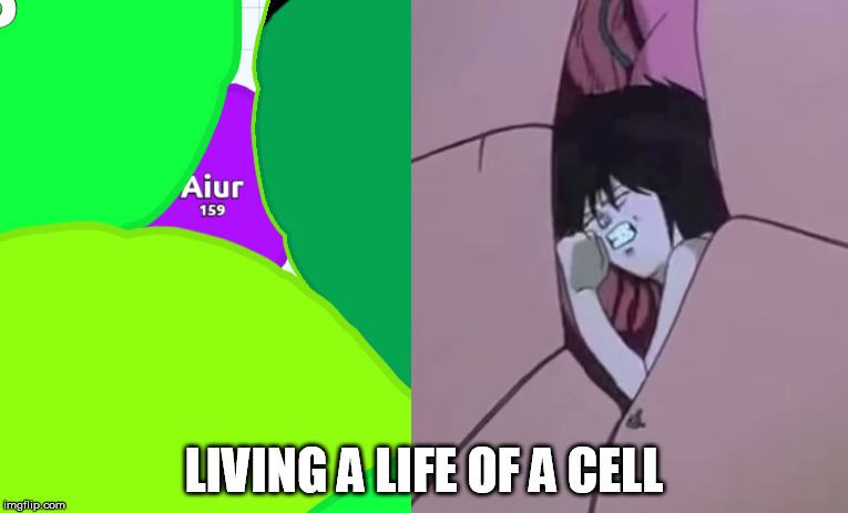 Life of a cell | LIVING A LIFE OF A CELL | image tagged in agario,game,anime | made w/ Imgflip meme maker