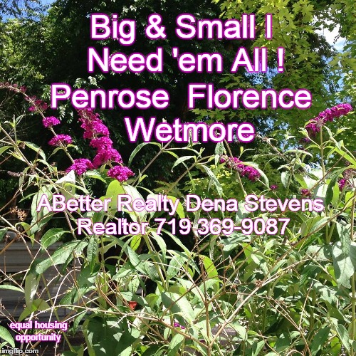 Big & Small I Need 'em All ! Penrose  Florence  Wetmore ABetter Realty Dena Stevens Realtor 719 369-9087 equal housing opportunity | made w/ Imgflip meme maker