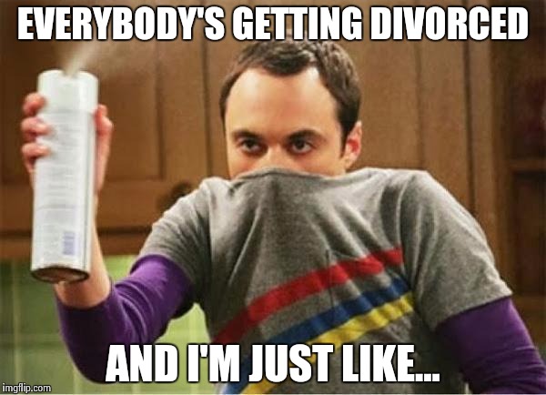 Sheldon - Go Away Spray | EVERYBODY'S GETTING DIVORCED AND I'M JUST LIKE... | image tagged in sheldon - go away spray | made w/ Imgflip meme maker