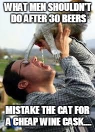 beer | WHAT MEN SHOULDN'T DO AFTER 30 BEERS MISTAKE THE CAT FOR A CHEAP WINE CASK.... | image tagged in beer | made w/ Imgflip meme maker