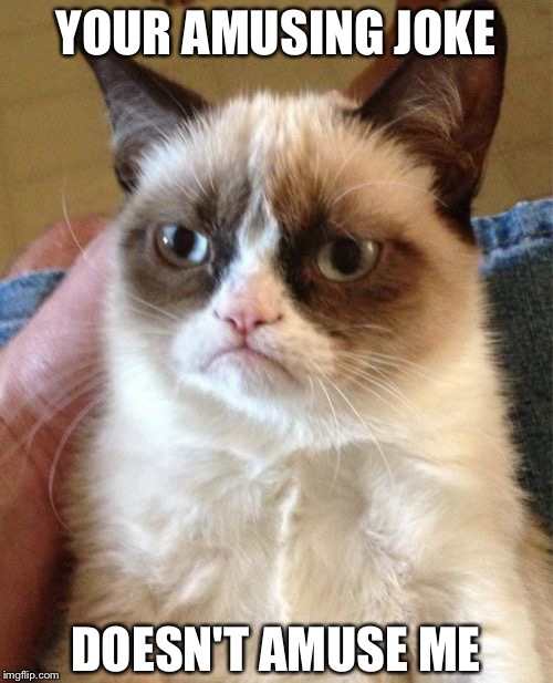 Grumpy Cat Meme | YOUR AMUSING JOKE DOESN'T AMUSE ME | image tagged in memes,grumpy cat | made w/ Imgflip meme maker