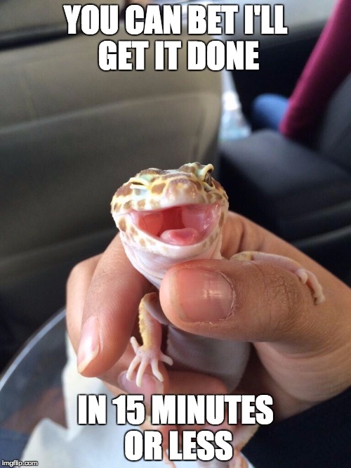 YOU CAN BET I'LL GET IT DONE IN 15 MINUTES OR LESS | image tagged in ridiculously photogenic gecko | made w/ Imgflip meme maker