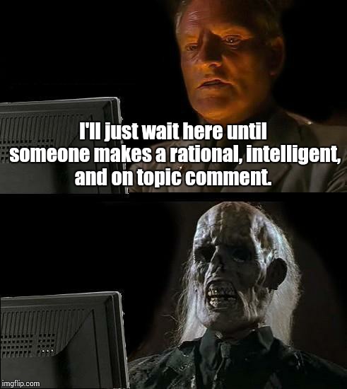 Troll trolling Trolls | I'll just wait here until someone makes a rational, intelligent, and on topic comment. | image tagged in memes,ill just wait here,trolls | made w/ Imgflip meme maker
