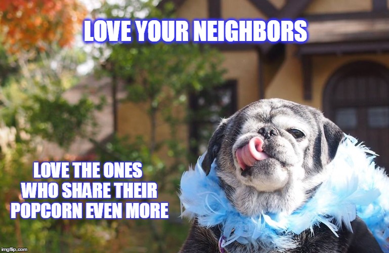 LilianPetunia OUT LOUD | LOVE YOUR NEIGHBORS LOVE THE ONES WHO SHARE THEIR POPCORN EVEN MORE | image tagged in neighbors,blackpug | made w/ Imgflip meme maker