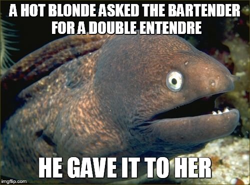 Bad Joke Eel | A HOT BLONDE ASKED THE BARTENDER FOR A DOUBLE ENTENDRE HE GAVE IT TO HER | image tagged in memes,bad joke eel | made w/ Imgflip meme maker