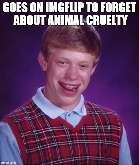 Bad Luck Brian | GOES ON IMGFLIP TO FORGET ABOUT ANIMAL CRUELTY | image tagged in memes,bad luck brian | made w/ Imgflip meme maker