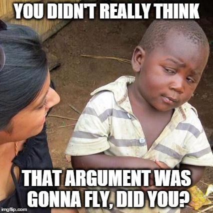 Third World Skeptical Kid Meme | YOU DIDN'T REALLY THINK THAT ARGUMENT WAS GONNA FLY, DID YOU? | image tagged in memes,third world skeptical kid | made w/ Imgflip meme maker