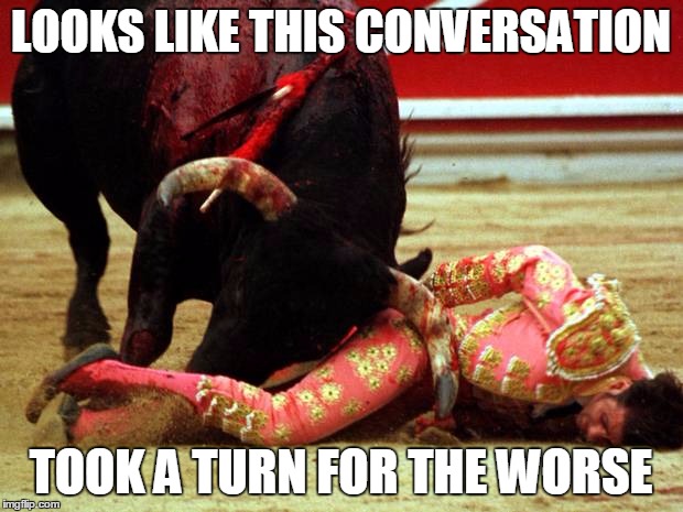 LOOKS LIKE THIS CONVERSATION TOOK A TURN FOR THE WORSE | image tagged in matador | made w/ Imgflip meme maker