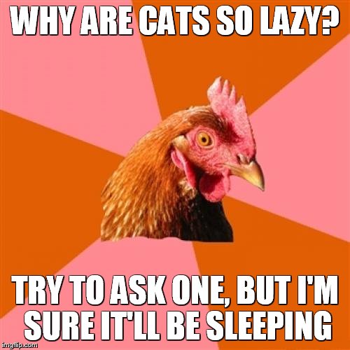 Anti Joke Chicken | WHY ARE CATS SO LAZY? TRY TO ASK ONE, BUT I'M SURE IT'LL BE SLEEPING | image tagged in memes,anti joke chicken | made w/ Imgflip meme maker
