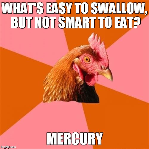 Anti Joke Chicken | WHAT'S EASY TO SWALLOW, BUT NOT SMART TO EAT? MERCURY | image tagged in memes,anti joke chicken | made w/ Imgflip meme maker