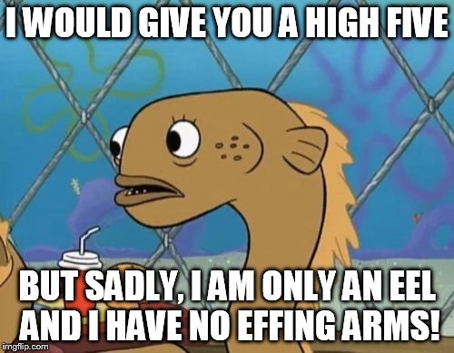 Sadly I Am Only An Eel | I WOULD GIVE YOU A HIGH FIVE BUT SADLY, I AM ONLY AN EEL AND I HAVE NO EFFING ARMS! | image tagged in memes,sadly i am only an eel | made w/ Imgflip meme maker