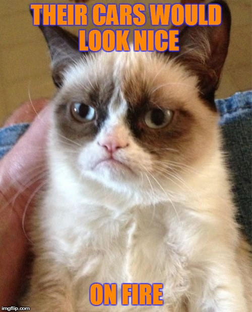 Grumpy Cat Meme | THEIR CARS WOULD LOOK NICE ON FIRE | image tagged in memes,grumpy cat | made w/ Imgflip meme maker