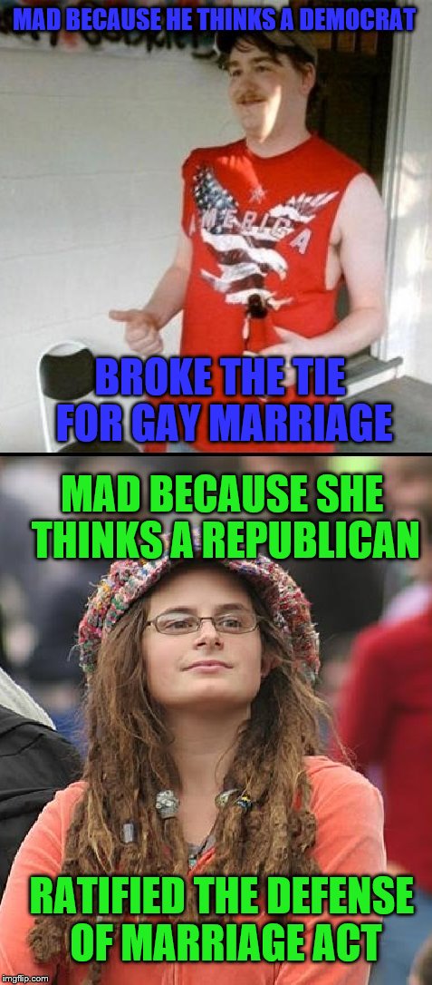 Whoever said liberals and rednecks share no common stupidity? | MAD BECAUSE HE THINKS A DEMOCRAT BROKE THE TIE FOR GAY MARRIAGE MAD BECAUSE SHE THINKS A REPUBLICAN RATIFIED THE DEFENSE OF MARRIAGE ACT | image tagged in redneck vs liberal | made w/ Imgflip meme maker