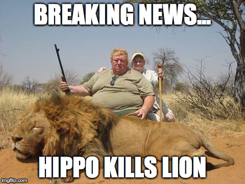 Hippo 1 Lion 0 | BREAKING NEWS... HIPPO KILLS LION | image tagged in hippo,lion,AdviceAnimals | made w/ Imgflip meme maker