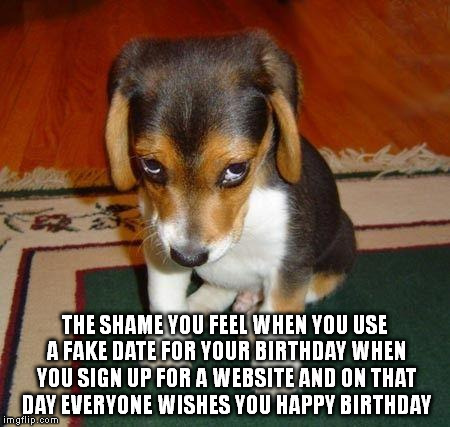 ashamed puppy | THE SHAME YOU FEEL WHEN YOU USE A FAKE DATE FOR YOUR BIRTHDAY WHEN YOU SIGN UP FOR A WEBSITE AND ON THAT DAY EVERYONE WISHES YOU HAPPY BIRTH | image tagged in ashamed puppy | made w/ Imgflip meme maker