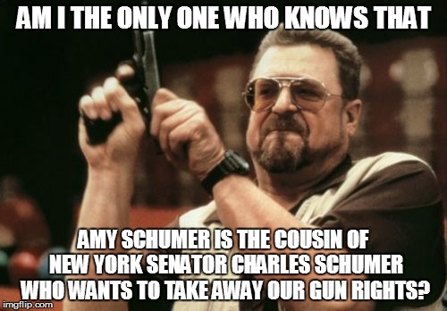 Am I The Only One Around Here | AM I THE ONLY ONE WHO KNOWS THAT AMY SCHUMER IS THE COUSIN OF NEW YORK SENATOR CHARLES SCHUMER WHO WANTS TO TAKE AWAY OUR GUN RIGHTS? | image tagged in memes,am i the only one around here | made w/ Imgflip meme maker