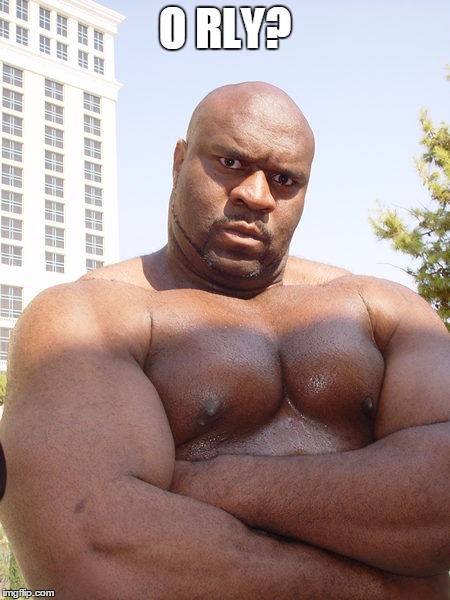 O RLY? | image tagged in bob sapp | made w/ Imgflip meme maker