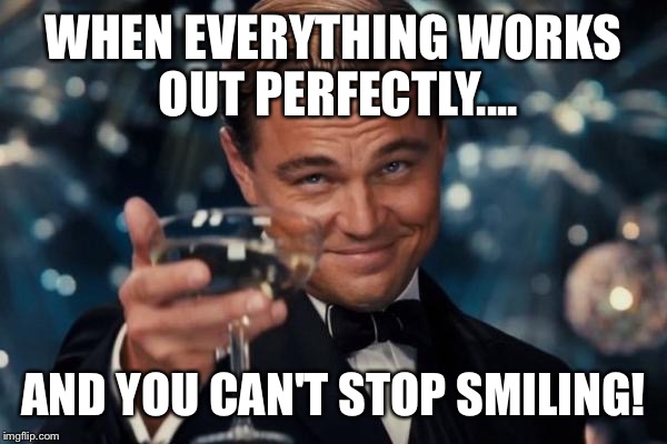 Leonardo Dicaprio Cheers | WHEN EVERYTHING WORKS OUT PERFECTLY.... AND YOU CAN'T STOP SMILING! | image tagged in memes,leonardo dicaprio cheers | made w/ Imgflip meme maker