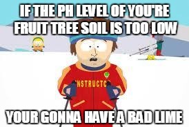 south park | IF THE PH LEVEL OF YOU'RE FRUIT TREE SOIL IS TOO LOW YOUR GONNA HAVE A BAD LIME | image tagged in south park | made w/ Imgflip meme maker