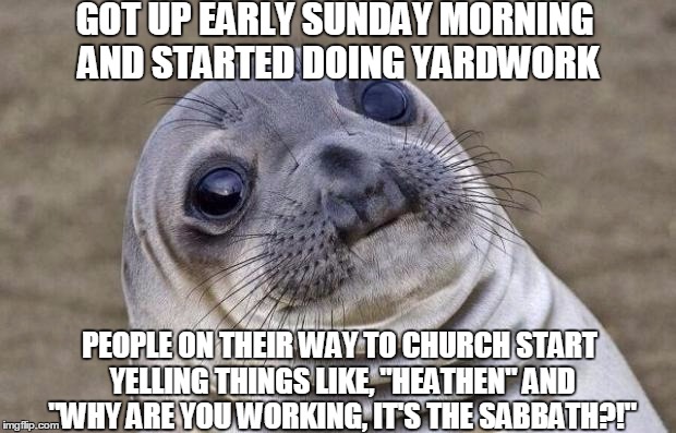 Awkward Moment Sealion Meme | GOT UP EARLY SUNDAY MORNING AND STARTED DOING YARDWORK PEOPLE ON THEIR WAY TO CHURCH START YELLING THINGS LIKE, "HEATHEN" AND "WHY ARE YOU W | image tagged in memes,awkward moment sealion | made w/ Imgflip meme maker