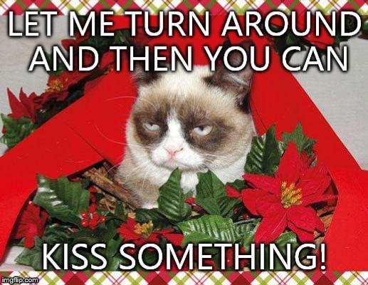 image tagged in mistletoe,grumpy cat,grumpy cat christmas,grumpy cat mistletoe,christmas | made w/ Imgflip meme maker