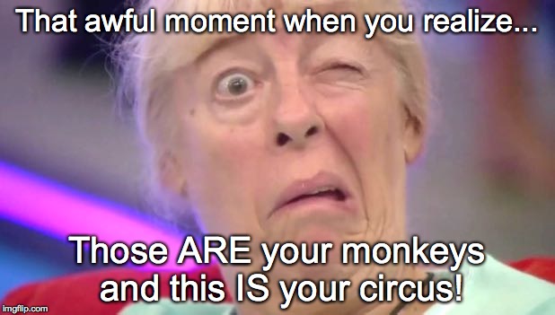 Oh, HELL no!! | That awful moment when you realize... Those ARE your monkeys and this IS your circus! | image tagged in funny,that moment when | made w/ Imgflip meme maker